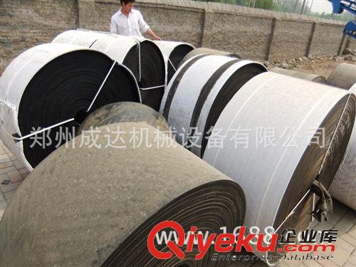 供應(yīng)皮帶輸送機 膠帶輸送機 帶式輸送機 水平、上運、下運輸送機原始圖片3