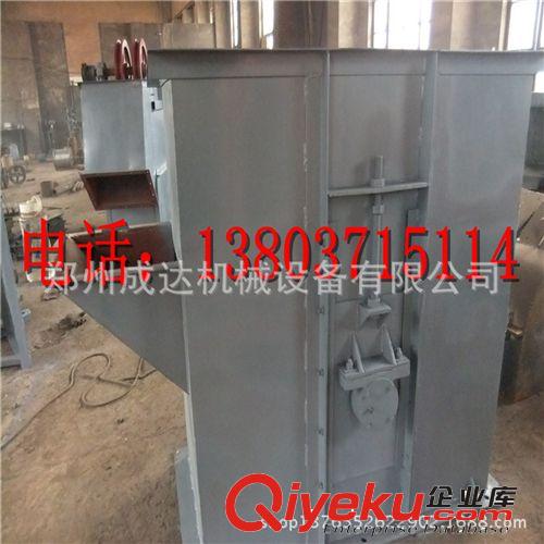 供應(yīng) 斗式提升機(jī)生產(chǎn)廠家 物料提升機(jī) 提升機(jī)廠家原始圖片3