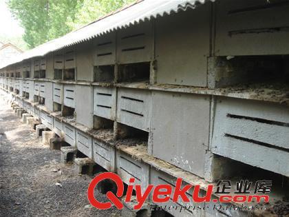 兔籠公司黃頁