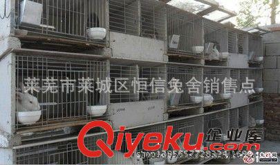 萊蕪兔籠