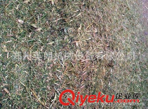 廠家直銷 新款揉搓粉碎機 粉碎揉搓一體機 量大從優原始圖片3