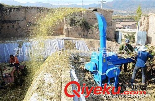 供應(yīng) 秸稈粉碎機(jī)鍘草機(jī)，青儲(chǔ)秸稈鍘草機(jī) 小型家用鍘草機(jī) 揉搓機(jī)原始圖片3
