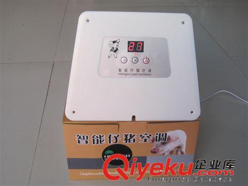供應仔豬智能數顯恒溫電熱板可調溫塑膠小豬加熱板保溫器材