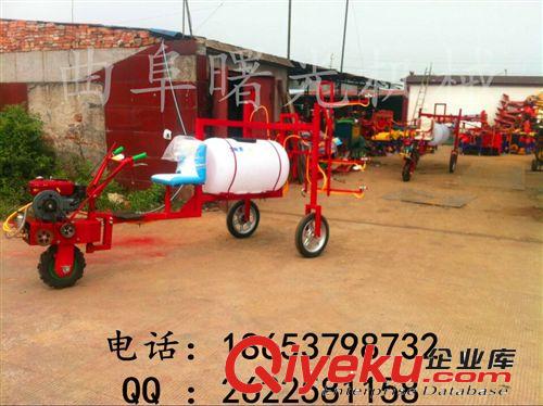 柴油機(jī)噴霧器/自吸抽水灌溉打藥機(jī)園林霧化噴霧