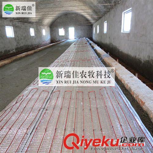 禽畜養殖場智能溫控器