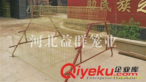 生產優質彩色鍍鋅3層/4層階梯式蛋雞籠 廠家直銷 出口品質原始圖片3