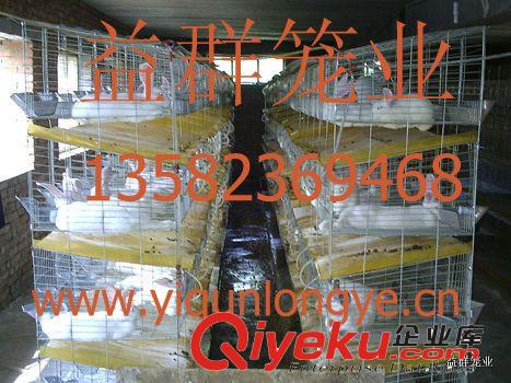 生產(chǎn)4層20位優(yōu)質(zhì)彩鍍鋅 加粗型 商品兔籠 育肥兔籠 廠家直銷