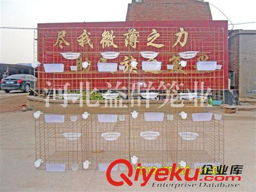 生產(chǎn)4層16位加粗優(yōu)質(zhì)彩色鍍鋅鴿籠養(yǎng)鴿用品廠家直銷全國(guó)批發(fā)零售原始圖片3