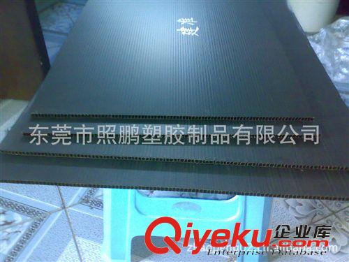 東莞照鵬塑膠廠供應(yīng)深圳東莞塑料中空板 PP萬通板隔板 防靜電隔板原始圖片3