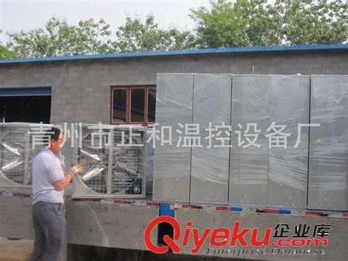 廠家生產(chǎn)供應 廠房 畜牧 防暑降溫用  負壓風機 排風設備