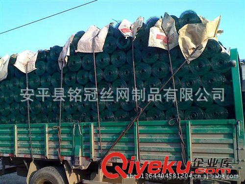 荷蘭網(wǎng)、高品質(zhì)浸塑荷蘭網(wǎng)、規(guī)格齊全荷蘭網(wǎng)