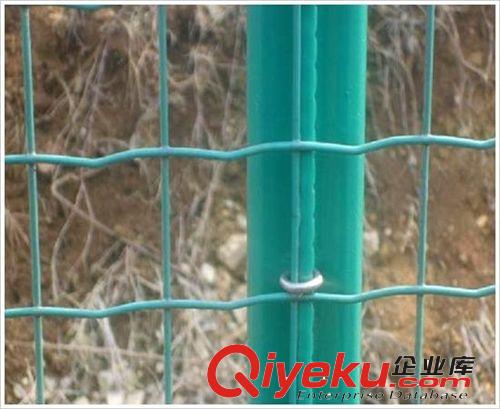 .【來電詳談】供應(yīng) 河北 荷蘭網(wǎng) 荷蘭網(wǎng)護(hù)欄 波浪網(wǎng)原始圖片2