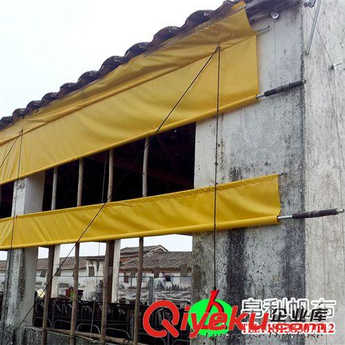 帛利帆布深加工養殖篷布 豬場卷簾布 羊場防寒布工業帆布卷簾原始圖片2