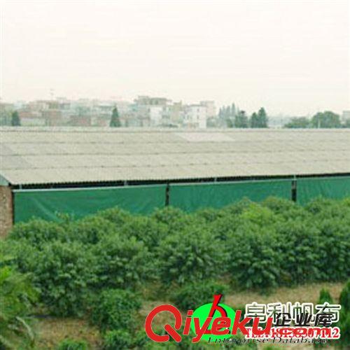 帛利加工各種pvc帆布面料 豬場卷簾 養殖篷布擋風遮雨原始圖片3