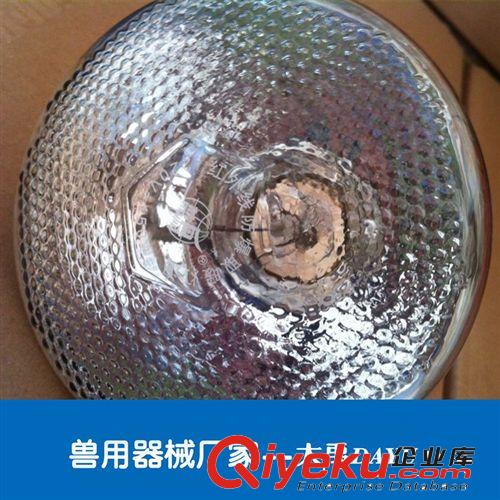 硬質(zhì)麻面防爆紅外線取暖燈泡 養(yǎng)殖取暖燈泡原始圖片3
