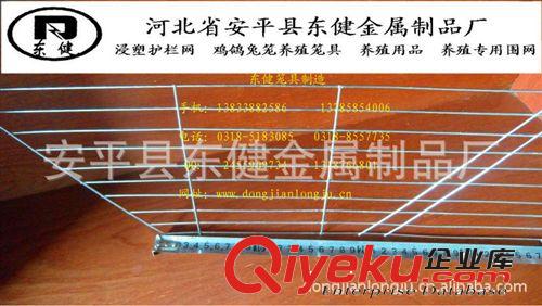 草架 兔子草架 兔用草架原始圖片3