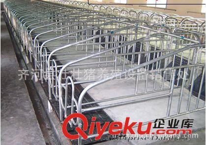 廠家直銷加厚豬用定位欄 母豬限位欄 設計合理 安裝方便 經(jīng)濟耐用原始圖片3