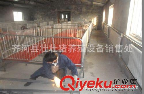 壯壯豬專業(yè)供應(yīng)高配置母豬產(chǎn)床 豬用產(chǎn)床 母豬分娩床 物超所值