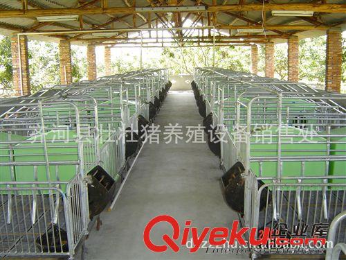 供應(yīng)養(yǎng)豬設(shè)備豬用保育床 仔豬保育欄 雙體保育床經(jīng)濟(jì)耐用價(jià)格合理原始圖片3