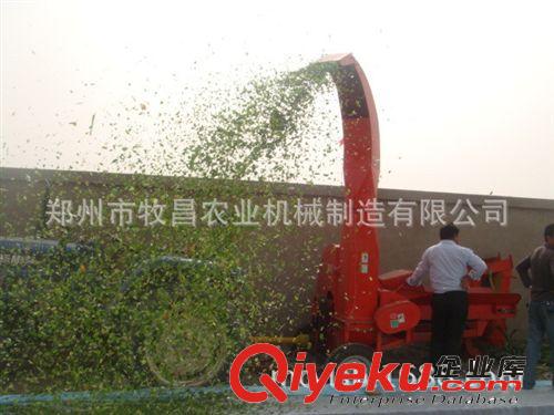 稻草鍘切機 小型秸稈鍘切機 玉米秸稈鍘切機 鍘草機 揉絲機原始圖片3