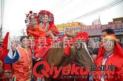 養(yǎng)殖馬 伊犁馬 血馬 馬種 肉馬 騎乘馬