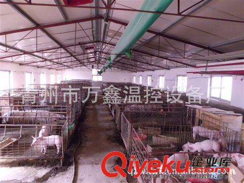 養殖熱風爐 廠家大量批發 價格特惠 青州萬鑫溫控原始圖片2
