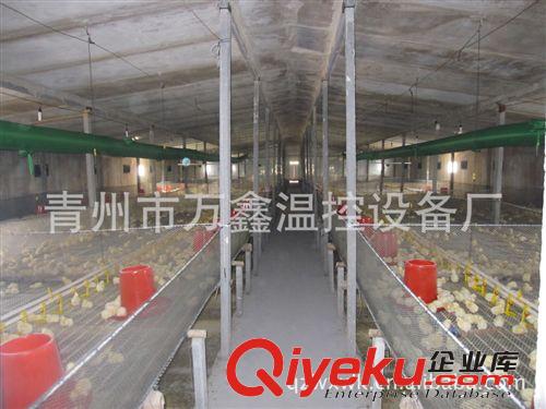 供應熱風爐，種雞舍供暖熱風爐，全自動燃煤高溫{gx}