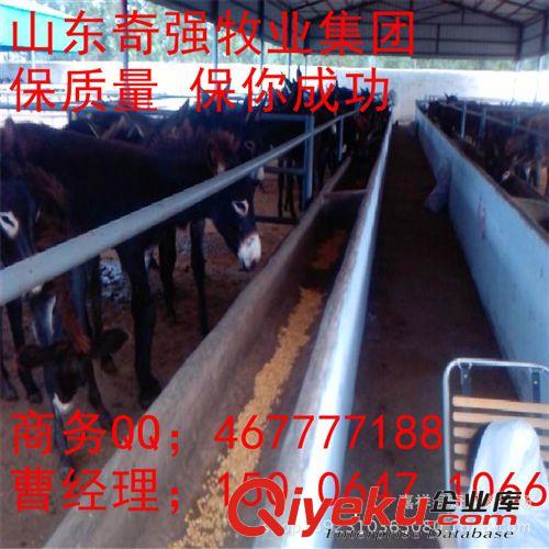 哪里有好品種的小驢、驢駒 驢月增重多少？湖北適合養(yǎng)殖驢么？原始圖片3