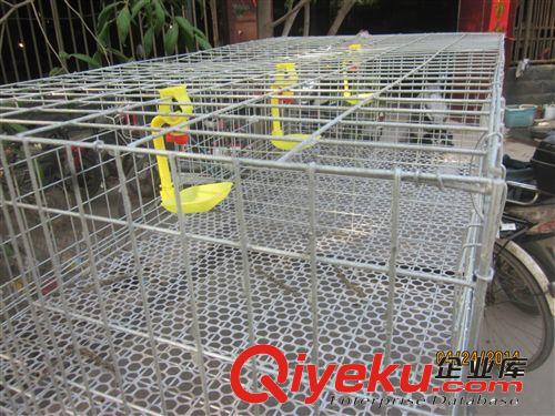 供應(yīng)肉雞籠.3/4層肉雞籠.肉雞籠養(yǎng)設(shè)備