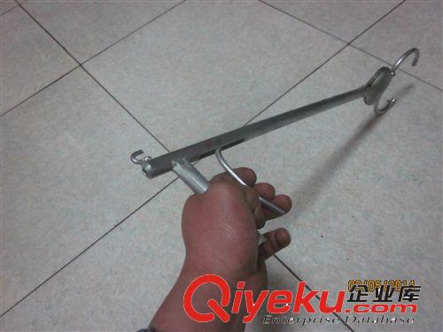 供應狐貍卡 狐貍養殖原始圖片3