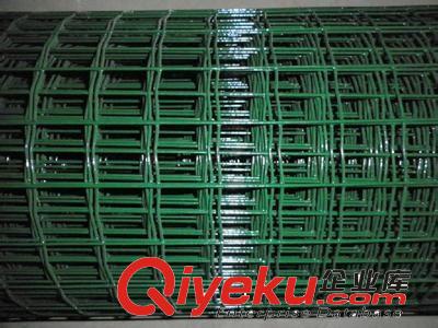 安平縣現貨供應pvc電焊網 養殖電焊網 浸塑電焊網 圈玉米網