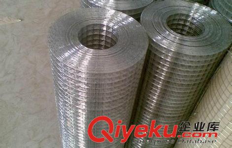 安平縣供應0.75mm 孔徑：3*13mm 304不銹鋼電焊網 熱鍍鋅電焊網