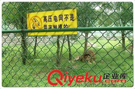 安平縣現(xiàn)貨直銷勾花網(wǎng)護(hù)欄網(wǎng) 養(yǎng)殖業(yè)勾花護(hù)欄網(wǎng) 體育圍網(wǎng)原始圖片2