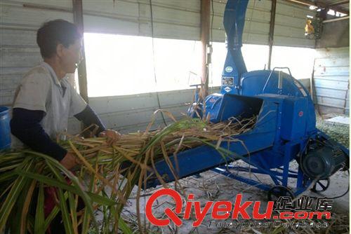 青貯大中型飼料鍘草機，青貯皇竹草鍘草機原始圖片3