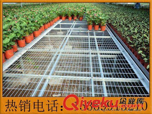 諾克【廠家直銷】溫室苗床網，花架網，養花網，植網床，溫室育苗原始圖片3
