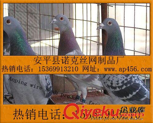 【廠家直銷(xiāo)】兔籠，層疊兔籠，子母兔籠，獺兔籠，24位兔籠-諾克