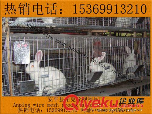 【廠家直銷】鴿籠，肉鴿籠，信鴿籠，種鴿子籠，三層鴿籠-諾克
