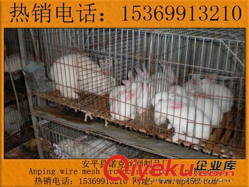 【廠家直銷】寵物兔籠，鐵絲兔籠，折疊兔籠，鍍鋅兔籠，肉兔籠原始圖片3