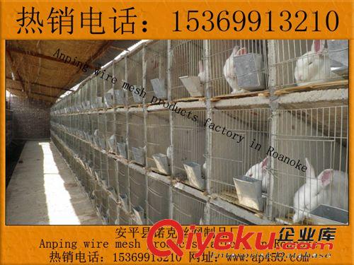 諾克【廠家直銷】商品兔籠，雛兔籠，寵物兔籠，飼養兔籠，兔籠子原始圖片2