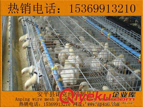 諾克【廠家直銷】商品兔籠，雛兔籠，寵物兔籠，飼養兔籠，兔籠子原始圖片3
