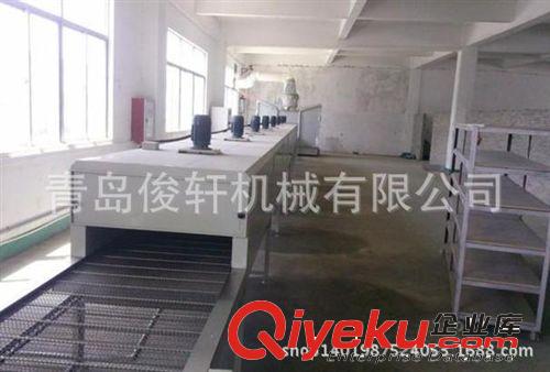 山東省烘干流水線，平面輸送爐，電加熱烘烤輸送爐，高溫爐原始圖片2