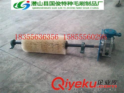 廠家供應礦業設備皮帶輸送機清掃器 電動滾刷合金聚氨酯清掃器原始圖片3