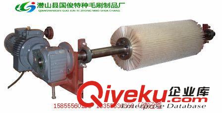 廠家供應礦山機械設備皮帶輸送機 滾刷清掃器 礦業設備等原始圖片3