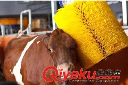 廠家供應(yīng)礦業(yè)清洗機(jī)毛刷 洗鞋機(jī)毛刷輥 洗靴機(jī)尼龍毛刷等