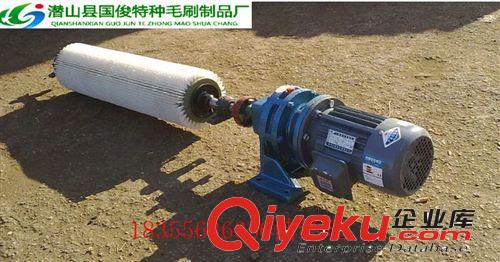 供應礦山機械設備皮帶輸送機 礦業輸送設備滾刷清掃器 支架 滾筒原始圖片3