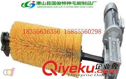 廠家供應(yīng)礦業(yè)設(shè)備皮帶輸送機清掃器 電動滾刷合金聚氨酯清掃器原始圖片2