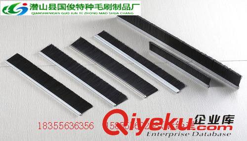 廠家供應(yīng)扶梯阻燃密封毛刷條 鋁合金雙排毛刷條 門窗密封毛刷等原始圖片3