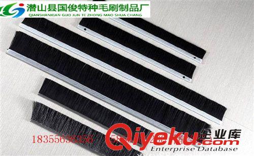 廠家供應(yīng)電梯阻燃密封毛刷條 扶梯毛刷 門窗密封毛刷等