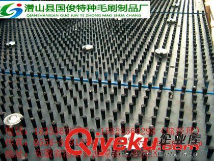 廠家直銷數(shù)控轉(zhuǎn)塔機床毛刷 沖床臺面毛刷板 PVC版面毛刷等 修改