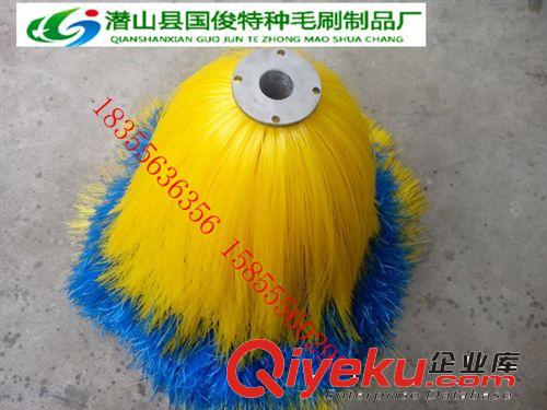 廠家直銷環(huán)衛(wèi)清洗設(shè)備護(hù)欄清洗車毛刷 清洗機(jī)毛刷等原始圖片3